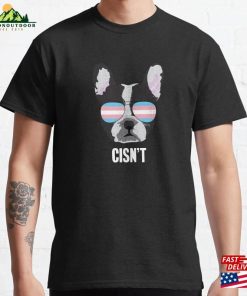 Cisn’t Funny Boston Terrier Dog Trans Pride Flag Classic T-Shirt Hoodie