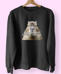 Dk How Much Longer I Can Slay Capybara Sarcastic Dank Funny Sweatshirt