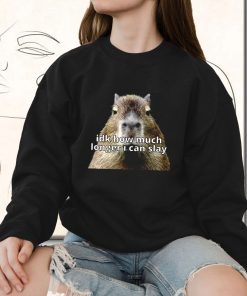 Dk How Much Longer I Can Slay Capybara Sarcastic Dank Funny Sweatshirt