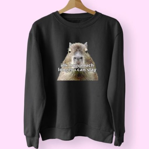 Dk How Much Longer I Can Slay Capybara Sarcastic Dank Funny Sweatshirt