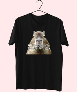 Dk How Much Longer I Can Slay Capybara Sarcastic Dank Funny T Shirt