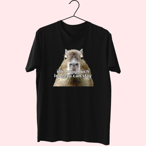 Dk How Much Longer I Can Slay Capybara Sarcastic Dank Funny T Shirt