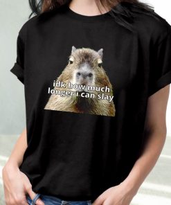 Dk How Much Longer I Can Slay Capybara Sarcastic Dank Funny T Shirt