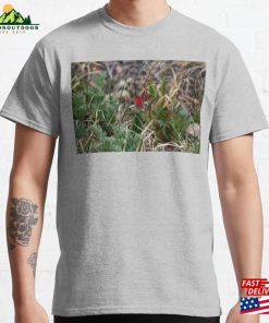 Indian Paintbrush Flowers Blooming Classic T-Shirt Hoodie Indian Paintbrush Flowers Blooming Classic T-Shirt Hoodie