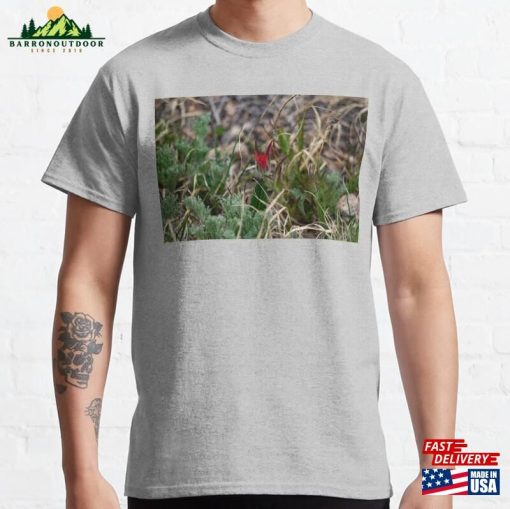 Indian Paintbrush Flowers Blooming Classic T-Shirt Hoodie