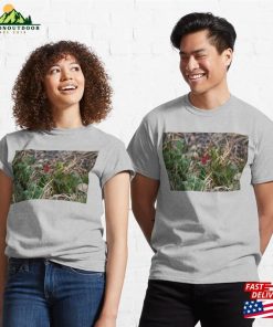 Indian Paintbrush Flowers Blooming Classic T-Shirt Hoodie