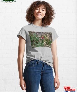 Indian Paintbrush Flowers Blooming Classic T Shirt Hoodie 4