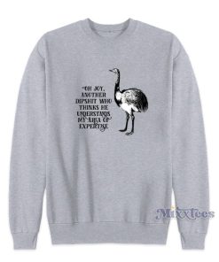 Another Dipshit Who Thinks He Understands My Are Of Expertise Sweatshirt