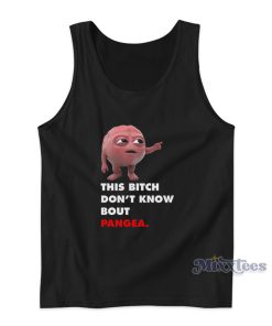 Lil Dicky Brain This Bitch Don’t Know Bout Pangea Tank Top Lil Dicky Brain This Bitch Don’t Know Bout Pangea Tank Top