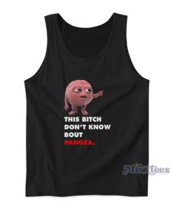 Lil Dicky Brain This Bitch Don’t Know Bout Pangea Tank Top