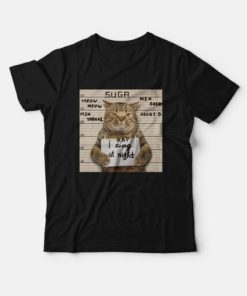 BTS Suga Meow Meow Min Yoongi I Rap At Night T Shirt 2