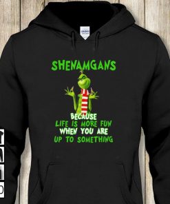 Grinch shenanigan because life is more fun t-shirt