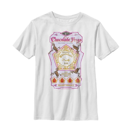 Boy’s Harry Potter Chocolate Frogs T-Shirt