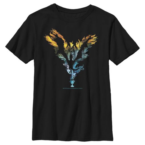 Boy’s Harry Potter Dragon Flame Silhouette T-Shirt