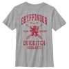 Boy’s Harry Potter Gryffindor Quidditch Team Seeker T-Shirt