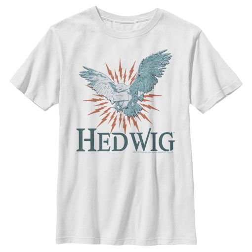 Boy’s Harry Potter Hedwig Owl Flight T-Shirt