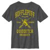 Boy’s Harry Potter Hufflepuff Quidditch Seeker T-Shirt