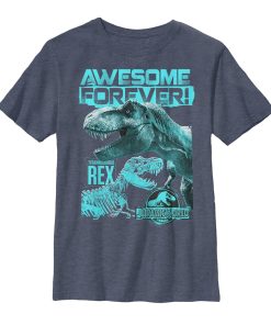 Boy’s Jurassic World Fallen Kingdom Forever T.Rex T-Shirt