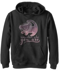 Boy’s Lion King Simba Remember Who You Are Pull Over Hoodie