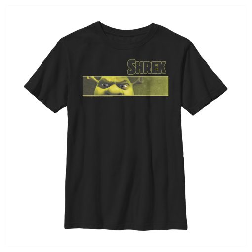 Boy’s Shrek Banner Eye Focus T-Shirt