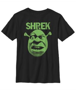 Boy’s Shrek Big Face Eyebrow Raised T-Shirt