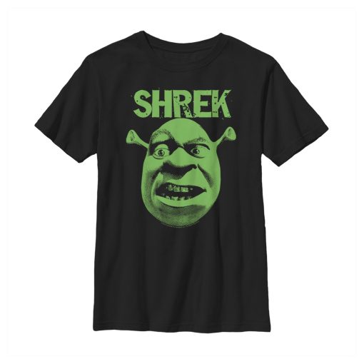 Boy’s Shrek Big Face Eyebrow Raised T-Shirt