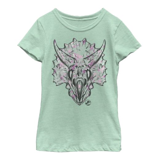 Girl’s Jurassic World Fallen Kingdom Artistic Triceratops T-Shirt