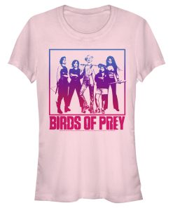 Junior’s Birds of Prey Harley’s Team Frame T-Shirt
