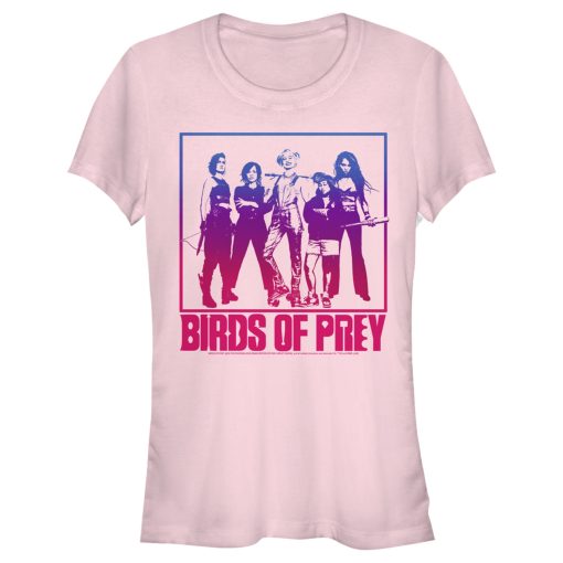 Junior’s Birds of Prey Harley’s Team Frame T-Shirt