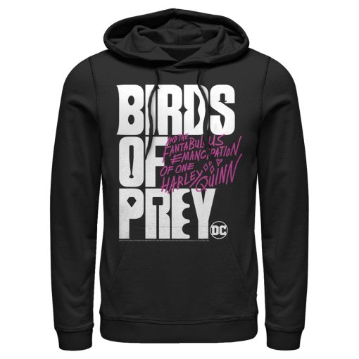 Men’s Birds of Prey Bold Text Logo Pull Over Hoodie