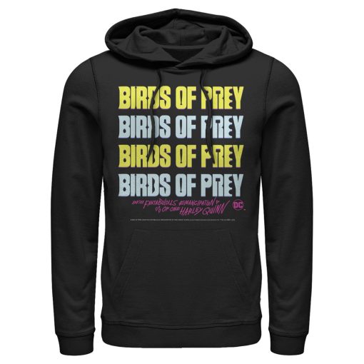 Men’s Birds of Prey Logo Stack Pull Over Hoodie