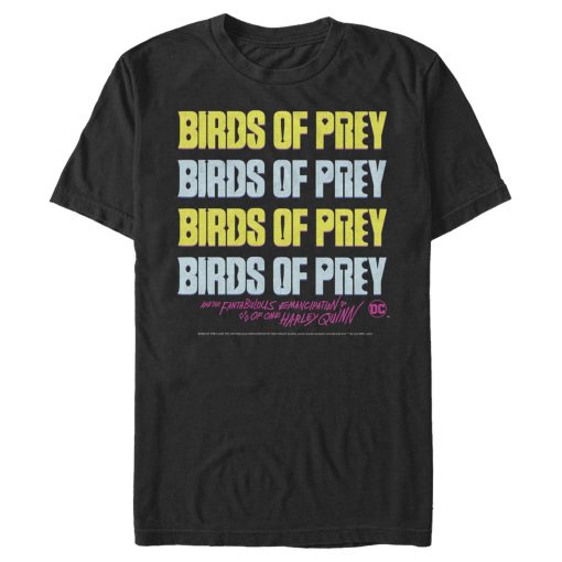 Men’s Birds of Prey Logo Stack T-Shirt