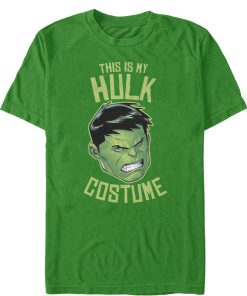 Men’s Marvel Halloween My Hulk Costume T-Shirt