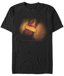 Men’s The Lord of the Rings Fellowship of the Ring One Ring T-Shirt