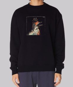 Bird Art Flume Merchandise Hoodie
