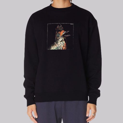 Bird Art Flume Merchandise Hoodie