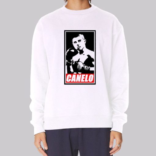 Boxing Gloves Canelo Gloves Hoodie