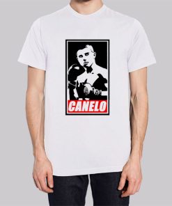 Boxing Gloves Canelo Gloves Hoodie 2 Boxing Gloves Canelo Gloves Hoodie 3