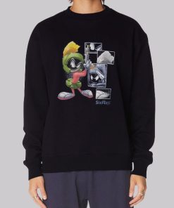 Cartoon Six Flags Marvin Martian Hoodie