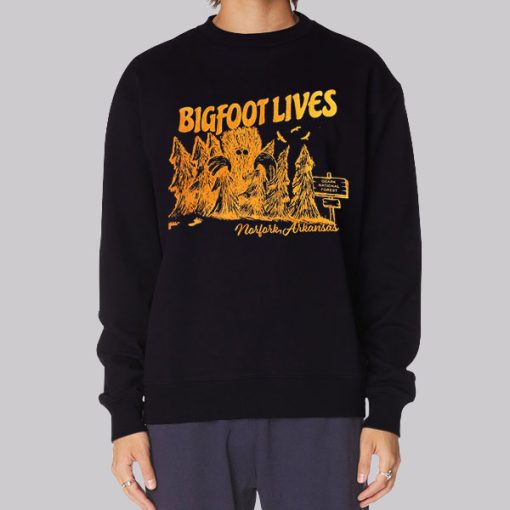 Classic Graphic Arkansas Bigfoot Lives Hoodie