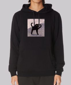 Cursed Cat Memes Angry as Fuk Hoodie Cursed Cat Memes Angry as Fuk Hoodie