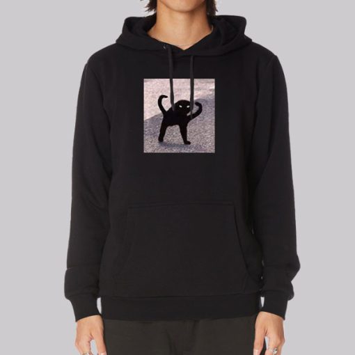 Cursed Cat Memes Angry as Fuk Hoodie