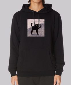 Cursed Cat Memes Angry as Fuk Hoodie 3 Cursed Cat Memes Angry as Fuk Hoodie 4