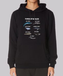 Cute Types of Whales Hoodie Cute Types of Whales Hoodie