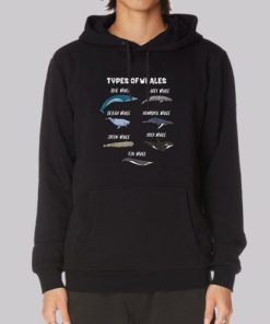 Cute Types of Whales Hoodie 3 Cute Types of Whales Hoodie 4