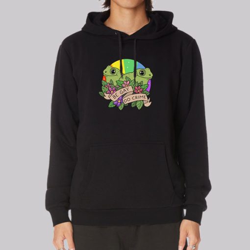 Frog and Toad Be Gay Do Crime Frog Hoodie