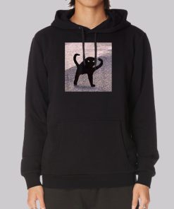 Funny Cursed Cat Meme Hoodie Funny Cursed Cat Meme Hoodie