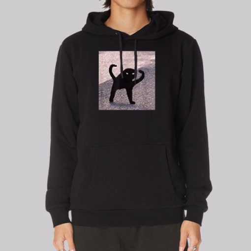 Funny Cursed Cat Meme Hoodie