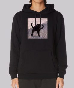Funny Cursed Cat Meme Hoodie 4