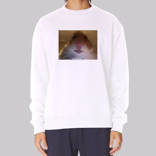 Funny Face Hamster Staring Hoodie